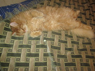 640 X 480 124.6 Kb 640 X 480 110.0 Kb 640 X 480 107.5 Kb  