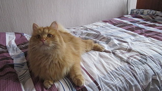 1920 X 1079 490.3 Kb 640 X 480 124.6 Kb 640 X 480 110.0 Kb 640 X 480 107.5 Kb  