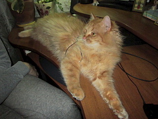 640 X 480  98.8 Kb 1920 X 1079 490.3 Kb 640 X 480 124.6 Kb 640 X 480 110.0 Kb 640 X 480 107.5 Kb  