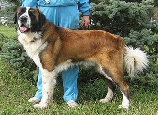 448 X 326 48.7 Kb 300 x 225     