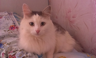 1920 X 1149 886.1 Kb      !    !