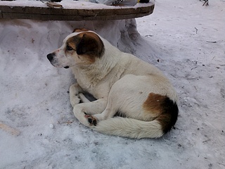 1920 X 1440 934.6 Kb  