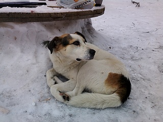 1920 X 1440 1004.5 Kb 1920 X 1440 934.6 Kb  