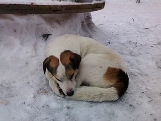 1920 X 1440 986.0 Kb 1920 X 1440 1004.5 Kb 1920 X 1440 934.6 Kb  