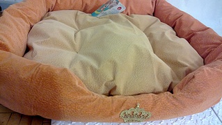 1920 X 1081 646.0 Kb   .  .