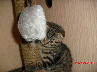 1920 X 1440 499.7 Kb 1920 X 1440 644.0 Kb 1920 X 1440 788.1 Kb   