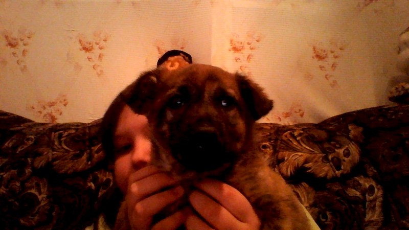 1280 X 720 110.7 Kb 1280 X 720 122.7 Kb ����� � ������ ����(�������)