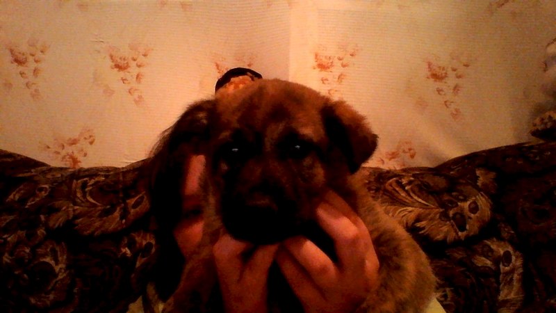 1280 X 720 106.0 Kb 1280 X 720 110.7 Kb 1280 X 720 122.7 Kb ����� � ������ ����(�������)