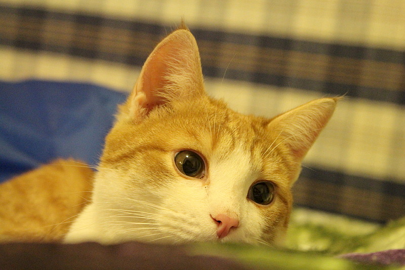 1920 X 1280 572.7 Kb  ,  -    .