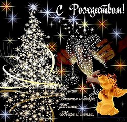 604 X 584 126.9 Kb Собаки поисково-спасательной службы Удмуртии