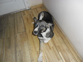 1024 X 768 528.6 Kb  . . , -   .