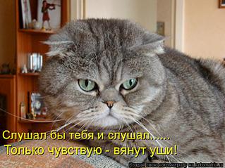 750 X 562 72.0 Kb 770 X 507 47.7 Kb  