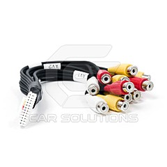 500 X 500  25.8 Kb     ?