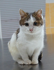 1688 X 2160 955.3 Kb   ()  