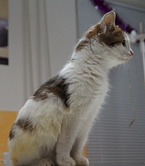 1920 X 2203 204.0 Kb 1688 X 2160 955.3 Kb   ()  