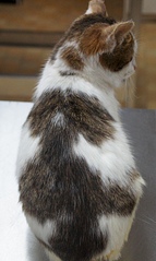 1920 X 3207 426.7 Kb 1920 X 2203 204.0 Kb 1688 X 2160 955.3 Kb   ()  