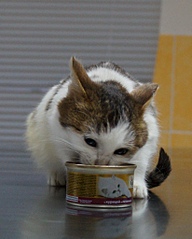 1643 X 2046 960.7 Kb 1920 X 3207 426.7 Kb 1920 X 2203 204.0 Kb 1688 X 2160 955.3 Kb   ()  