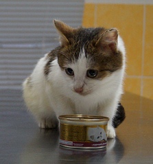 1708 X 1832 886.7 Kb 1643 X 2046 960.7 Kb 1920 X 3207 426.7 Kb 1920 X 2203 204.0 Kb 1688 X 2160 955.3 Kb   ()  