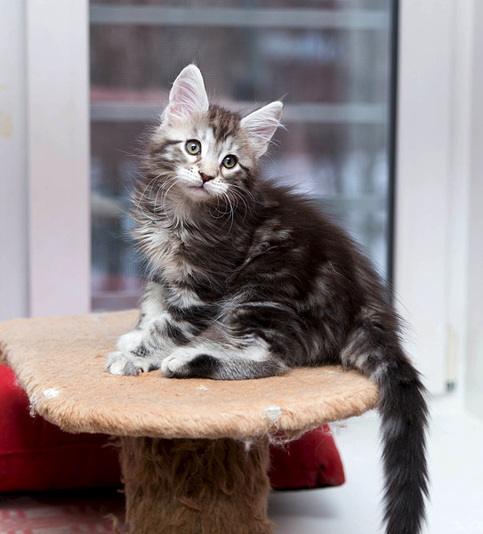 1920 X 2120 863.7 Kb   -