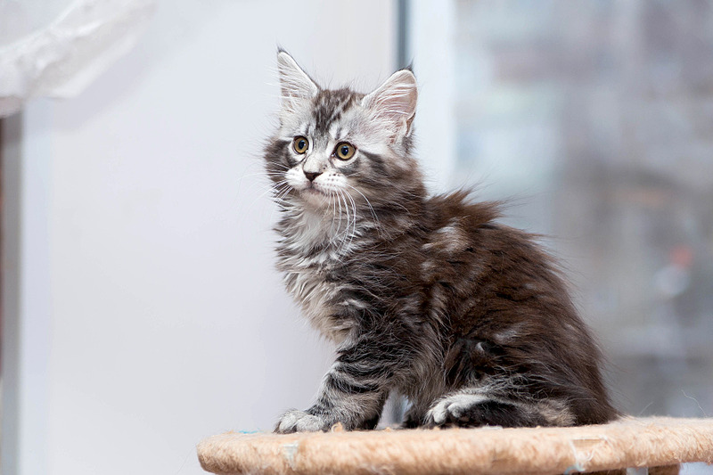 1920 X 1280 454.5 Kb   -