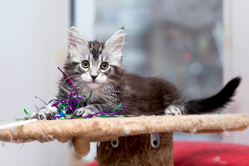 1920 X 1280 528.9 Kb   -