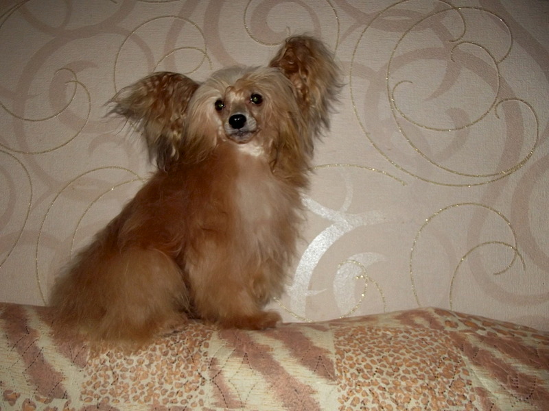 1920 X 1440 485.8 Kb     