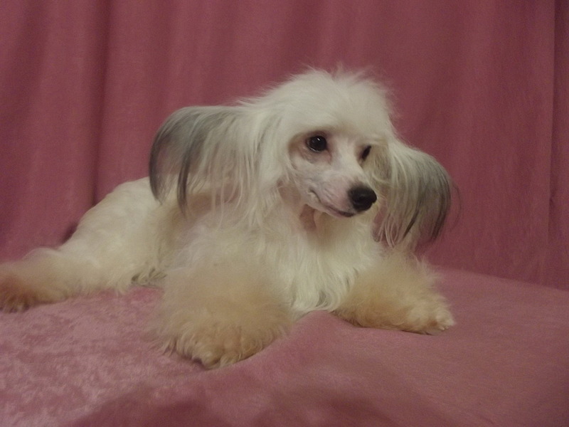 1920 X 1440 397.8 Kb     