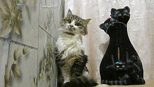 1280 X 719 244.3 Kb     !