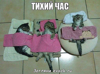 492 X 368 45.0 Kb Улыбнемся?