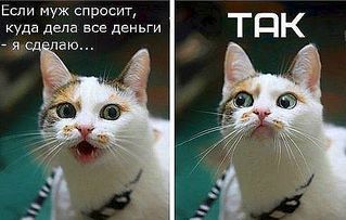 492 X 313 31.3 Kb Улыбнемся?