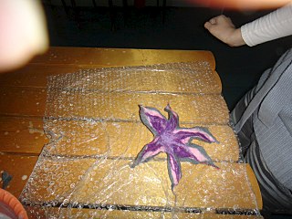 1280 X 960 267.9 Kb 1280 X 960 172.2 Kb  '' -        !