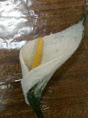 200 X 267  12.9 Kb  '' -        !