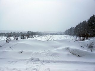 1920 X 1440 301.3 Kb ижалкобайкеры) место для апщения!