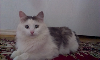 1920 X 1149 910.1 Kb 1920 X 1149 949.4 Kb     !    !