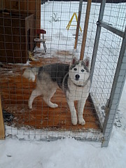 1536 X 2048 267.3 Kb    