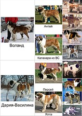 1920 X 2703 1015.4 Kb     