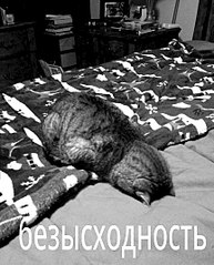 431 X 534 55.5 Kb ижалкобайкеры) место для апщения!