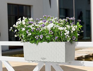 521 X 399 46.8 Kb 200 x 200      