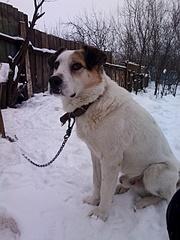 1920 X 2560 448.3 Kb 1920 X 2560 457.3 Kb       