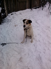 1920 X 2560 243.6 Kb 1920 X 2560 448.3 Kb 1920 X 2560 457.3 Kb       