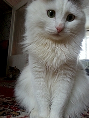 1920 X 2560 299.0 Kb 1920 X 2560 279.5 Kb     !    !