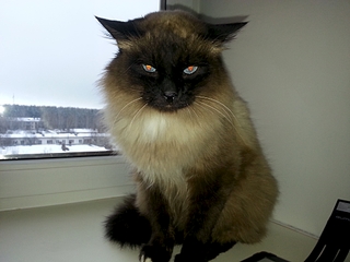 1920 X 1440 106.2 Kb        ' ' 