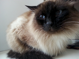 1920 X 1440 207.6 Kb 1920 X 1440 106.2 Kb        ' ' 