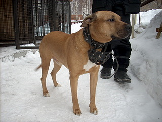 1920 X 1440 615.3 Kb  ,   - ''  .