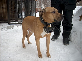 1920 X 1440 569.5 Kb  ,   - ''  .