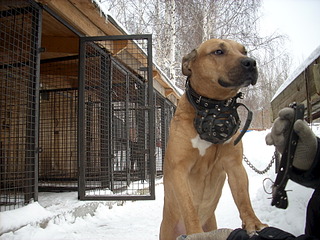 1920 X 1440 812.8 Kb 1920 X 1440 219.9 Kb 1920 X 1440 574.0 Kb 1920 X 1440 569.5 Kb  ,   - ''  .