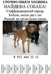 738 X 1059 123.7 Kb  ,   - ''  .