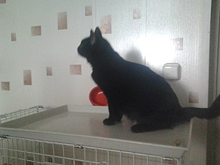 1280 X 960 166.1 Kb 928 X 756  84.7 Kb :       .   