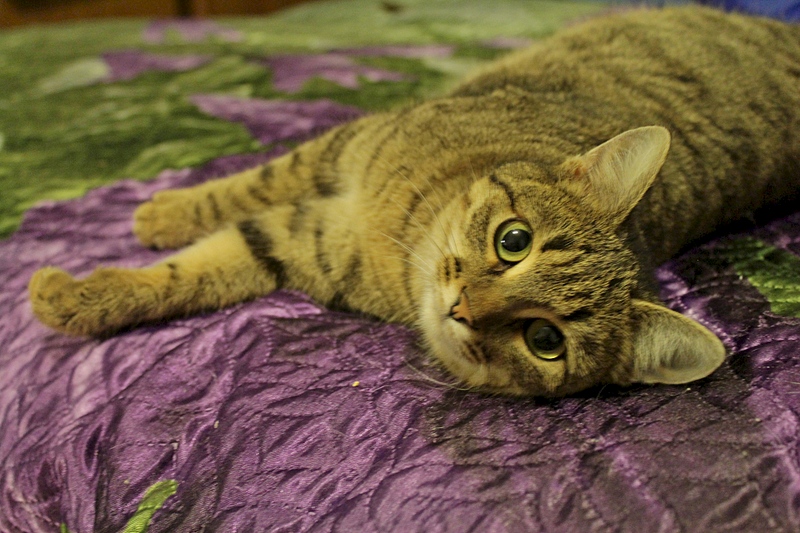 1920 X 1280 969.2 Kb  -     .