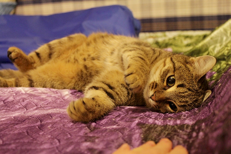 1920 X 1280 942.3 Kb  -     .